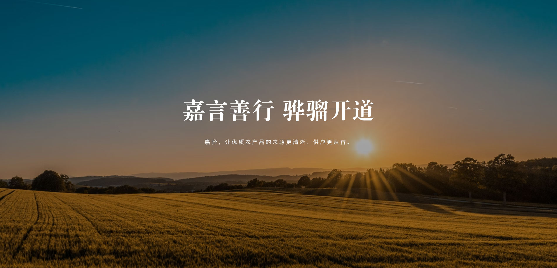 河南嘉骅供应链管理有限公司