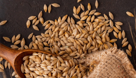 谷物 Grains
