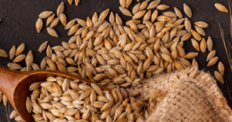 谷物 Grains