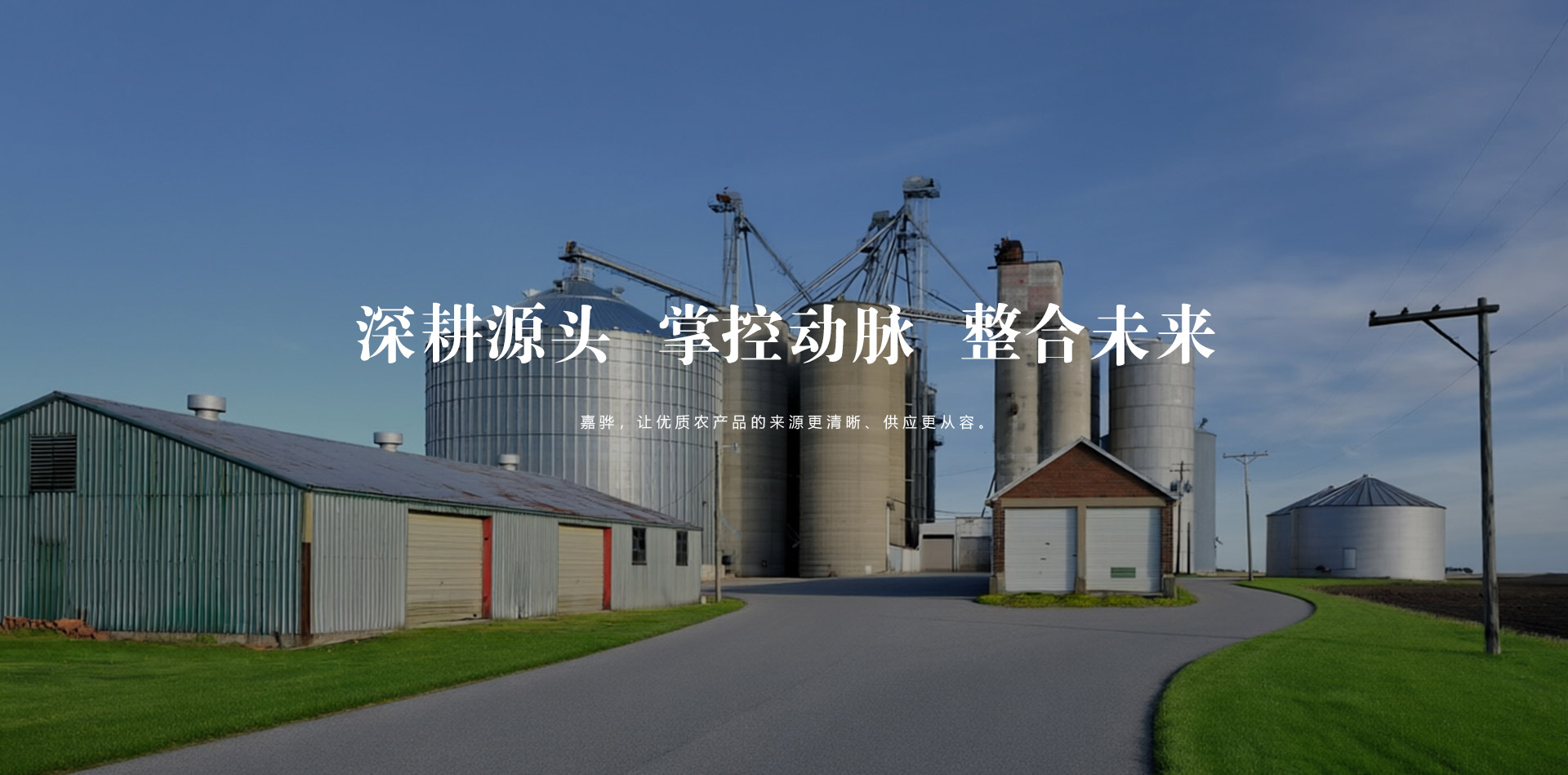 河南嘉骅供应链管理有限公司