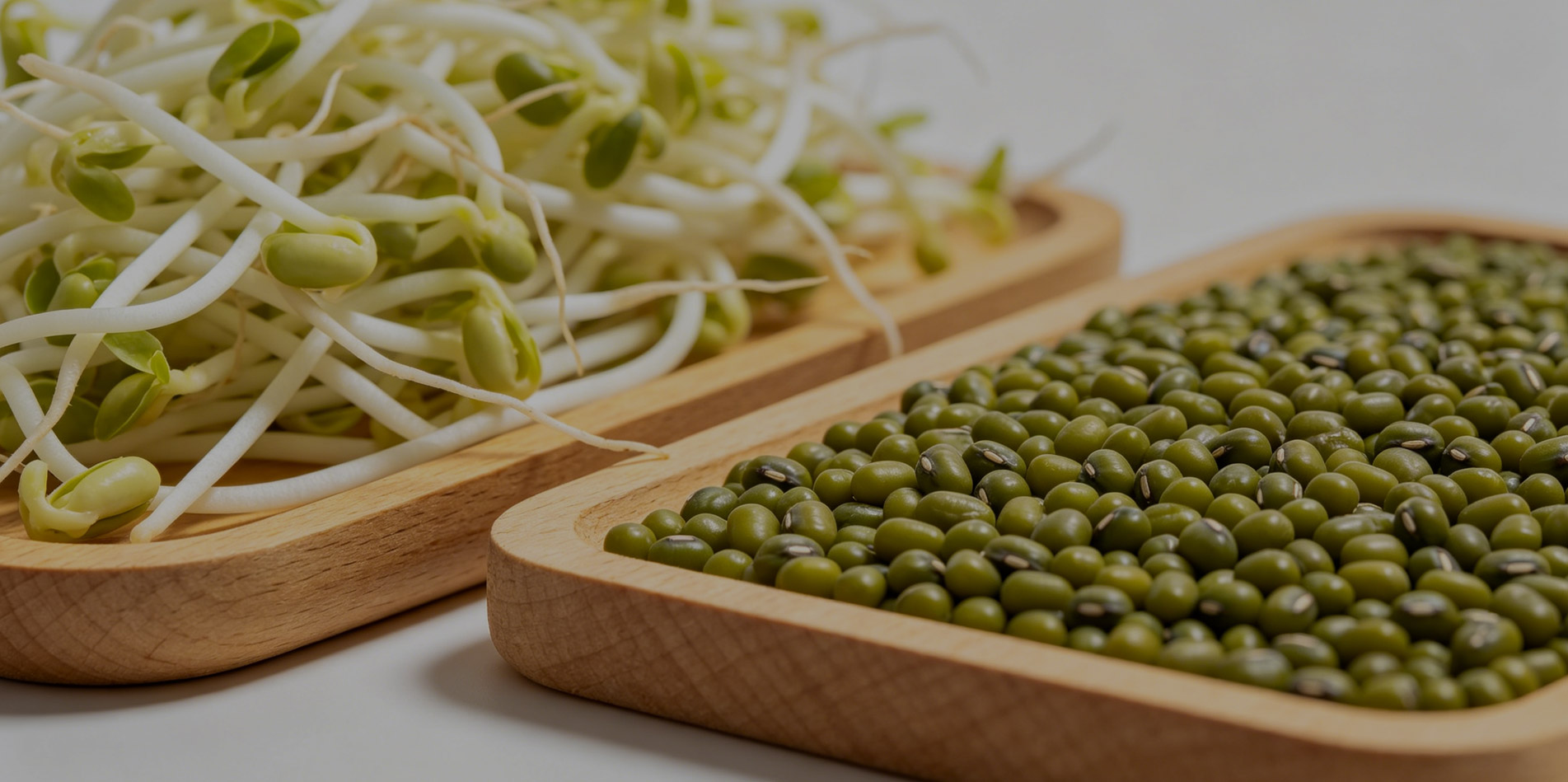 绿豆Green Mung Beans