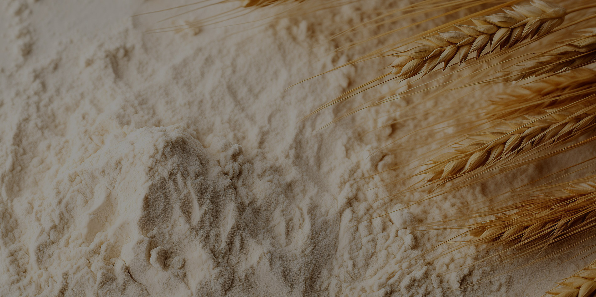 饲用小麦粉（Feed wheat flour）