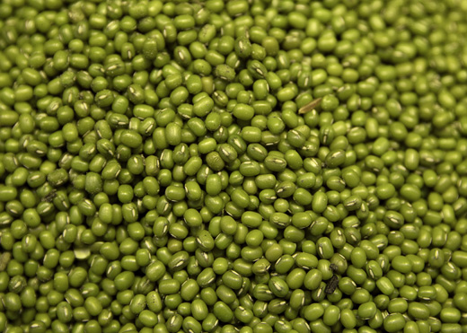 绿豆Green Mung Beans