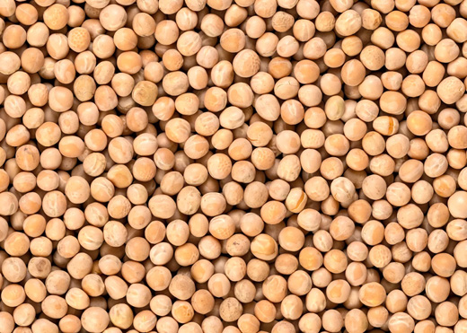 豌豆 Peas