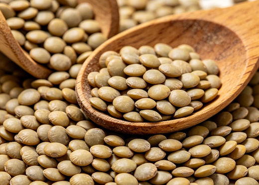 扁豆 Lentils